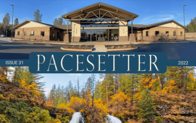 PACEsetter 2022: Resilience Projects and Community Impact