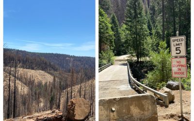 Golden Trout Crossing Bridge