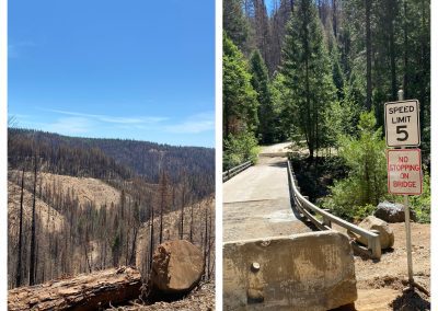 Golden Trout Crossing Bridge