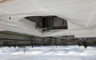 Sav Mor (Store #12) Roof Repair